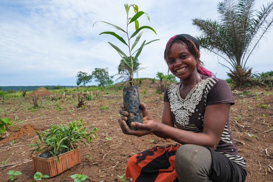 Tshopo/Yangambi : Des organisations environnementales restaurent des forêts en plantant un million d’arbres