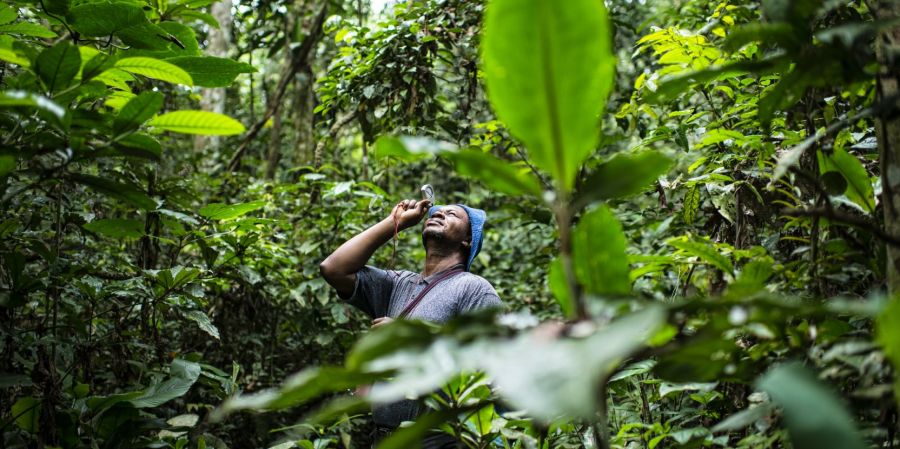 Dans le bassin du Congo, l’irrégularité des précipitations et des débits de l’eau menacent les moyens de subsistance des populations rurales