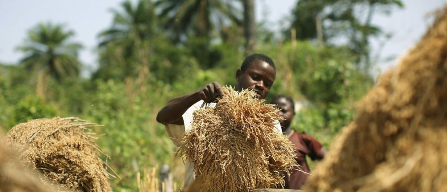 Désertification en Afrique : la Banque mondiale prévoit d’investir plus de 5 milliards de dollars