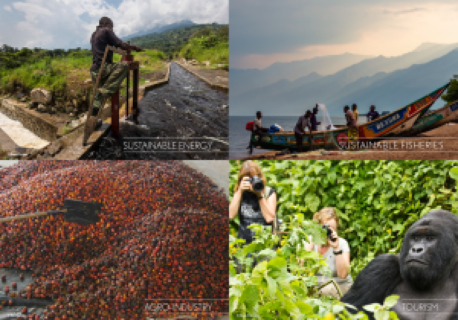 Le Parc national de Virunga et ses atouts majeurs font l’objet de toutes les attentions