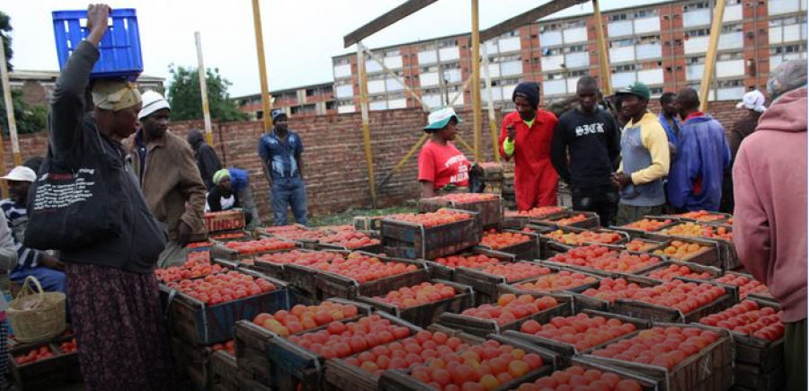 Les plans d'aide des pays africains passés à la loupe