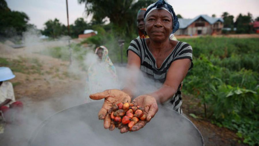 RDC : Un défenseur de l'environnement tué par un agent de Feronia