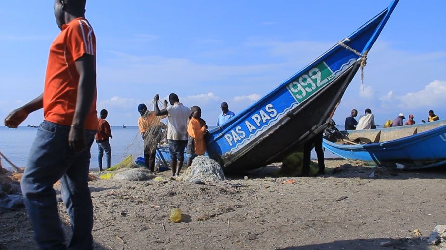 Beni : La pêche clandestine et les arrestations des pêcheurs créent la rareté du poisson sur le marché