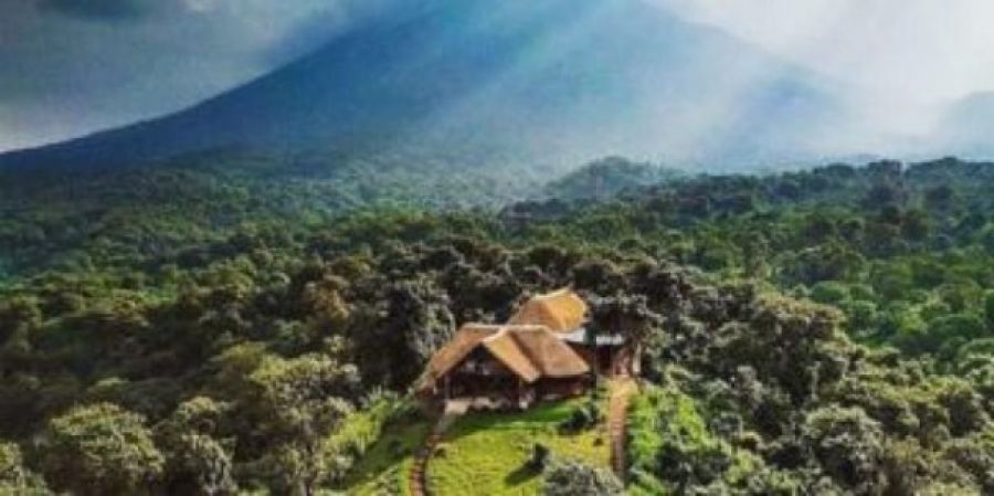 Biodiversité : Le Parc national des Virunga vise à atteindre son autonomie financière d’ici à 2030