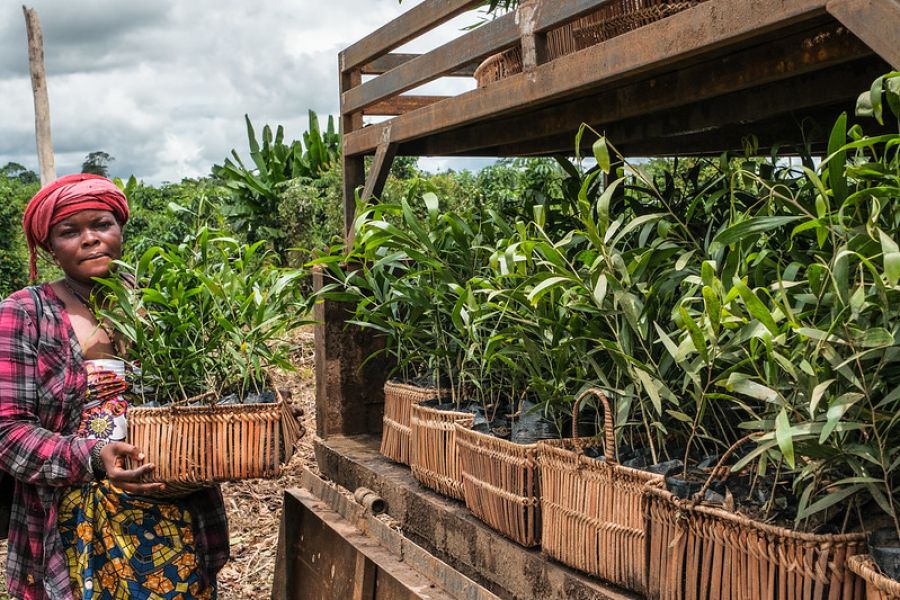 Six conseils pour les entrepreneurs en restauration en Afrique