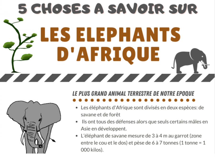5 choses à savoir sur les éléphants d'Afrique