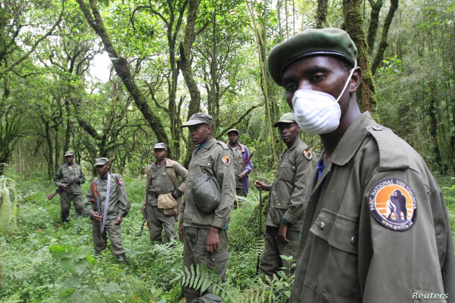 e parc national des Virunga fait souvent l'objet d'attaques meurtrières de ces travailleurs et de la population environnantes.