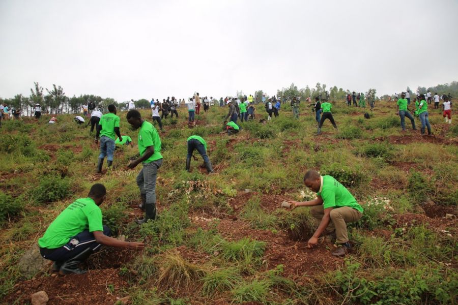 Science must back initiatives to restore Africa’s forests, say experts