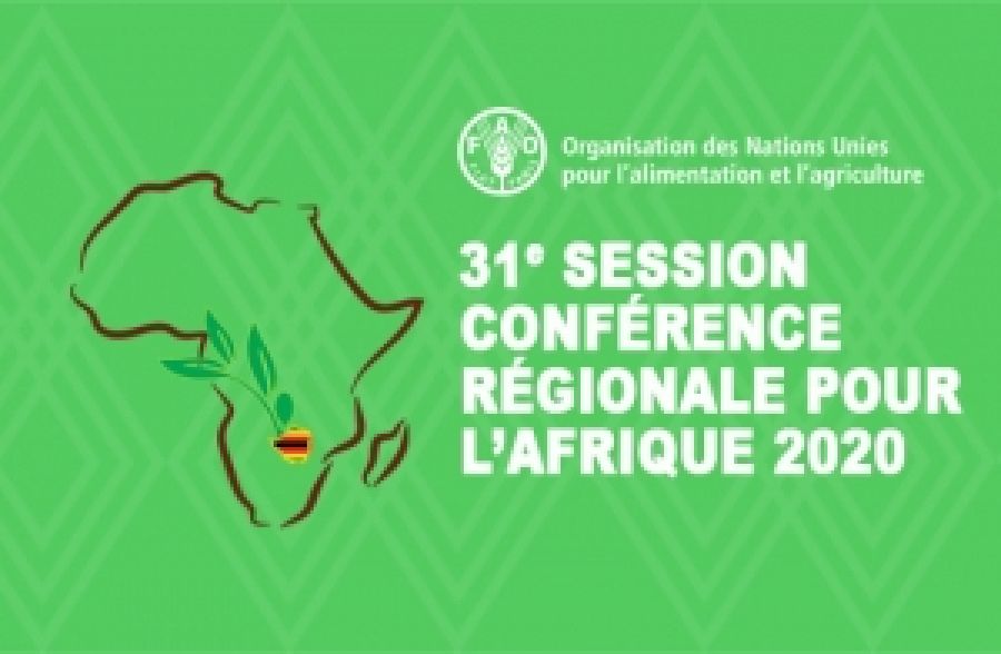 FAO- Conférence régionale pour l'Afrique : Impact de la COVID-19 sur la sécurité alimentaire et la nutrition