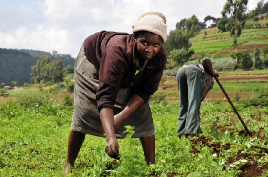 Journée internationale de la femme rurale : La FAO  favorise l'accès à l'épargne en RDC 