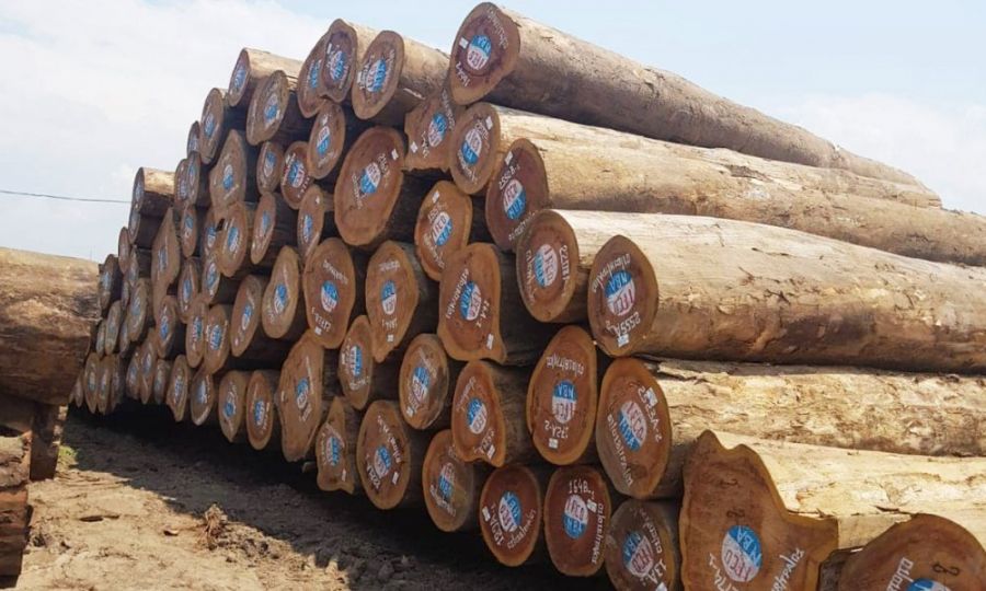 Blog: Exportation de bois d’œuvre sous forme de "grume" en RDC : Règle ou exception ?