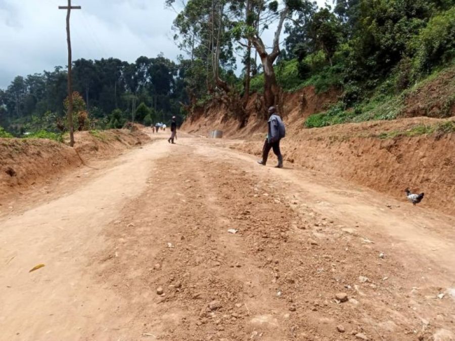 Africa Reveal  Rdc/Mwenga  Le Wwf Appuie La Réhabilitation Des Routes